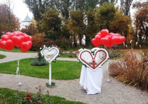 Tauben Ballons